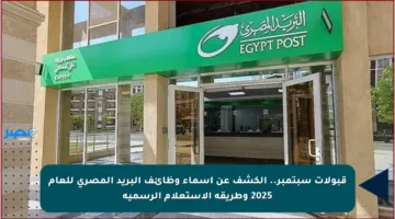قبولات سبتمبر.. الكشف عن أسماء وظائف البريد المصري للعام 2025 وطريقة الاستعلام الرسمية